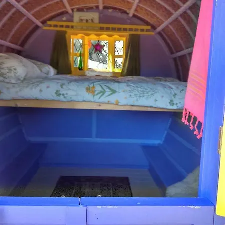 Kemping Kittys Cosy Camping Galway